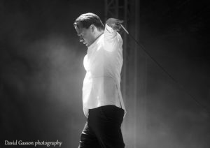 The_Hives_picture_for_sale